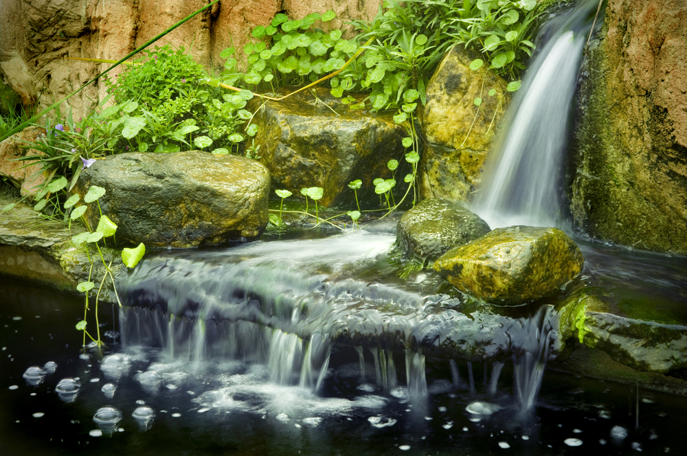 植栽園藝造景(4)